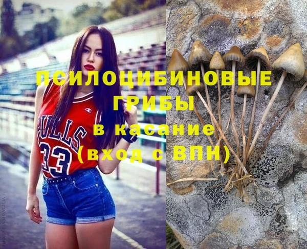 герыч Няндома