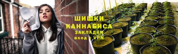 трава Новозыбков
